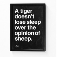 Quote of the Day - A tiger doesn't lose sleep over the opinion of sheep